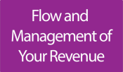 1. Flow and Management of Revenue
